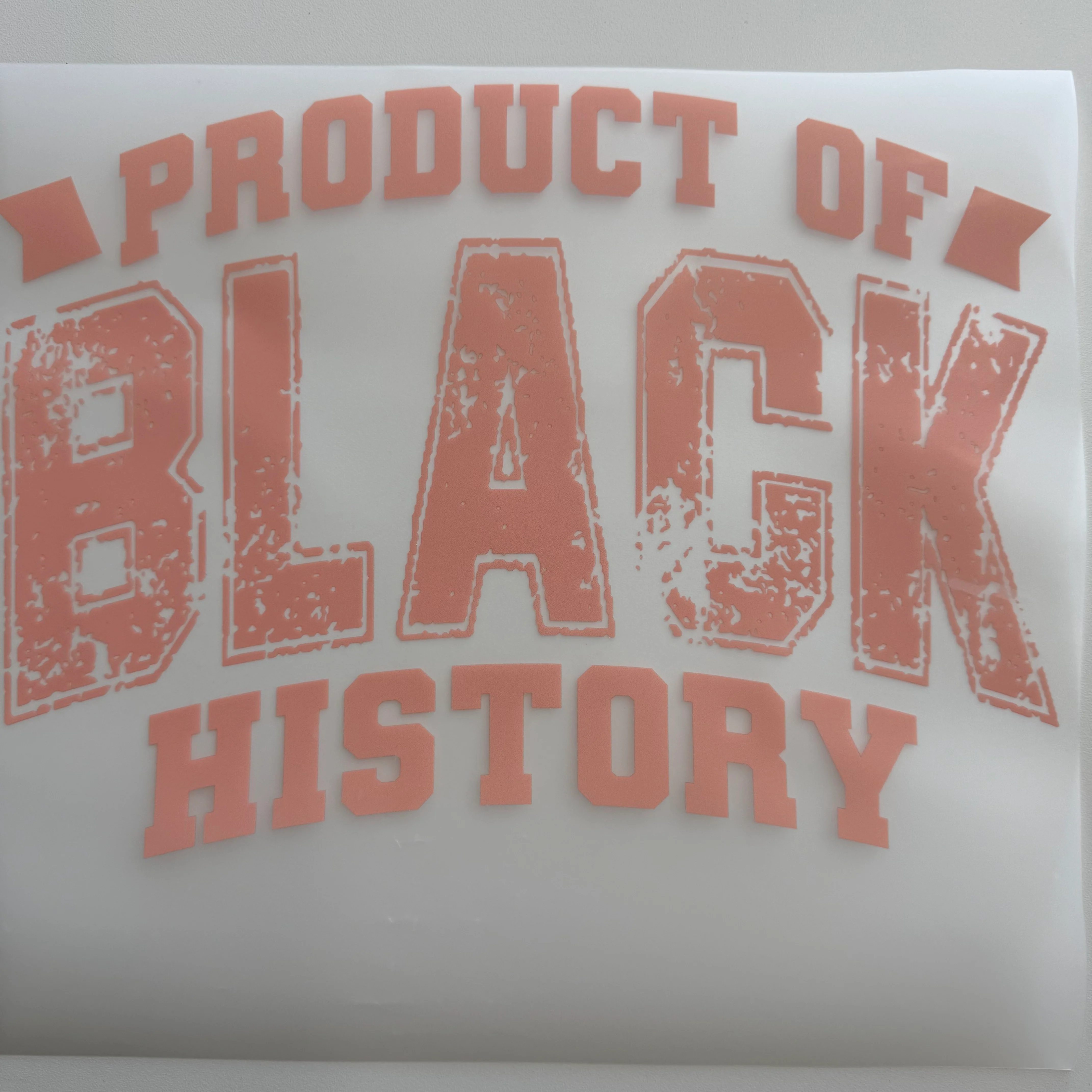 306 - Black History Shirt Transfer
